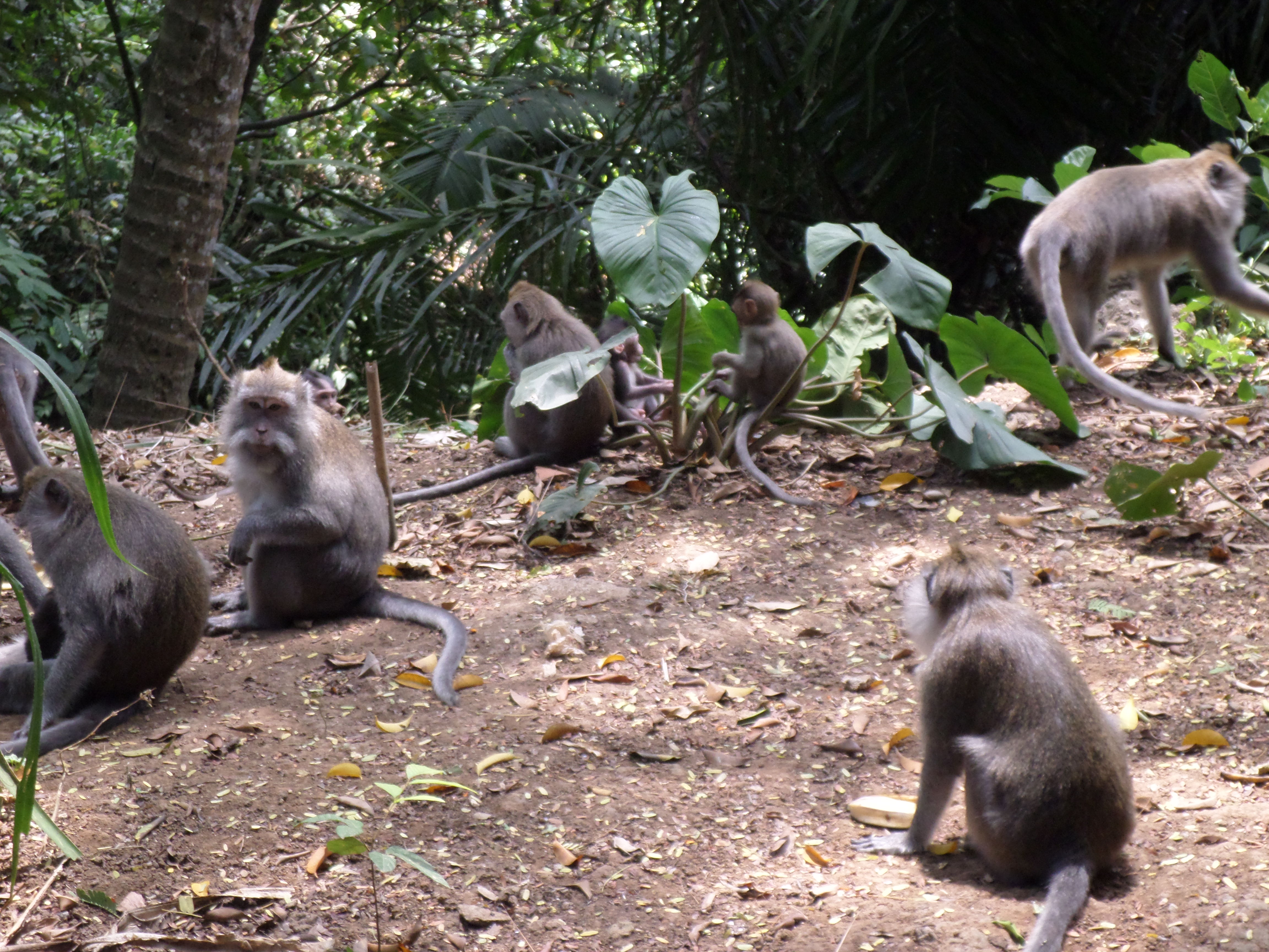 SAMSUNG CAMERA PICTURES