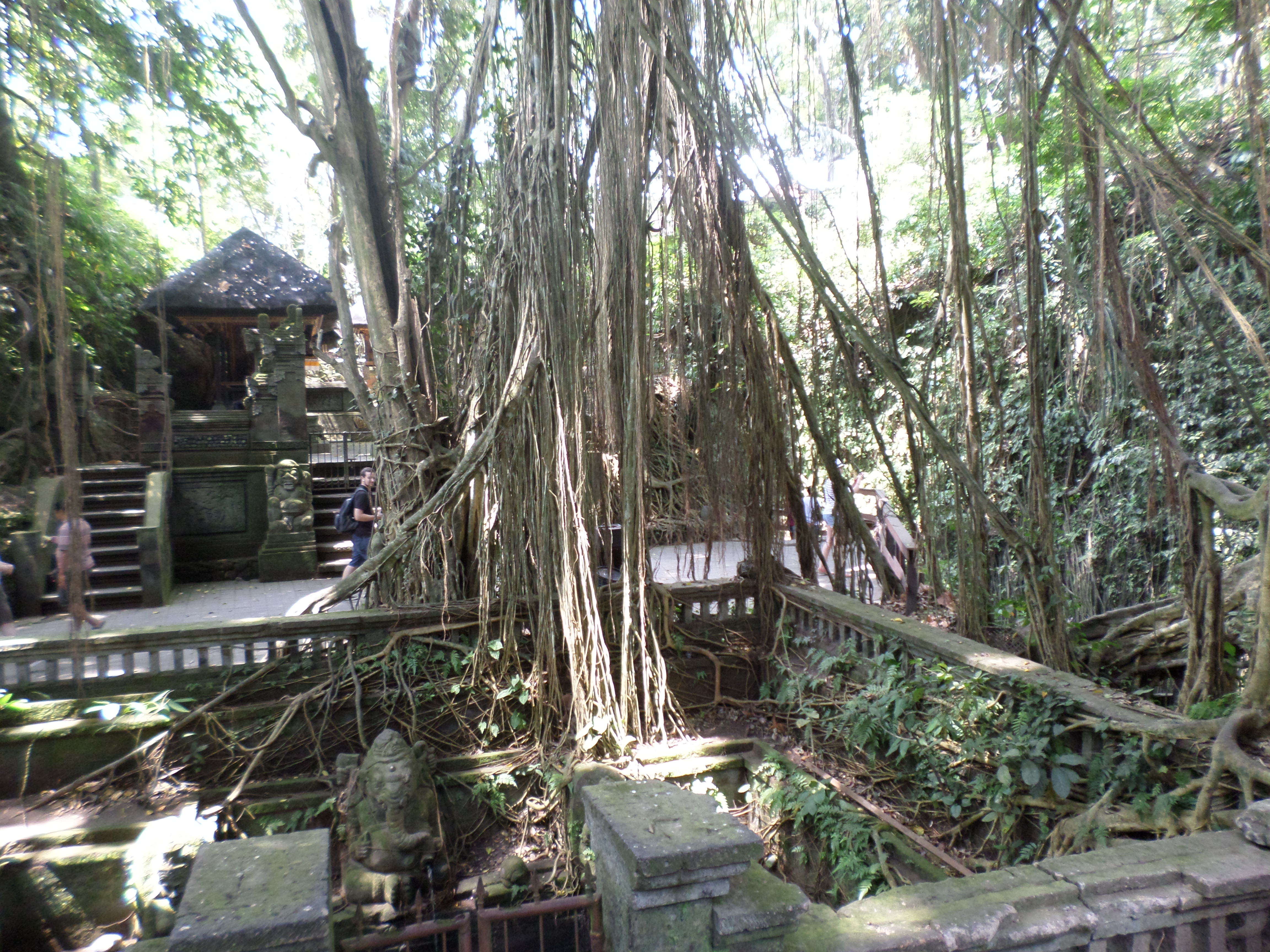 SAMSUNG CAMERA PICTURES