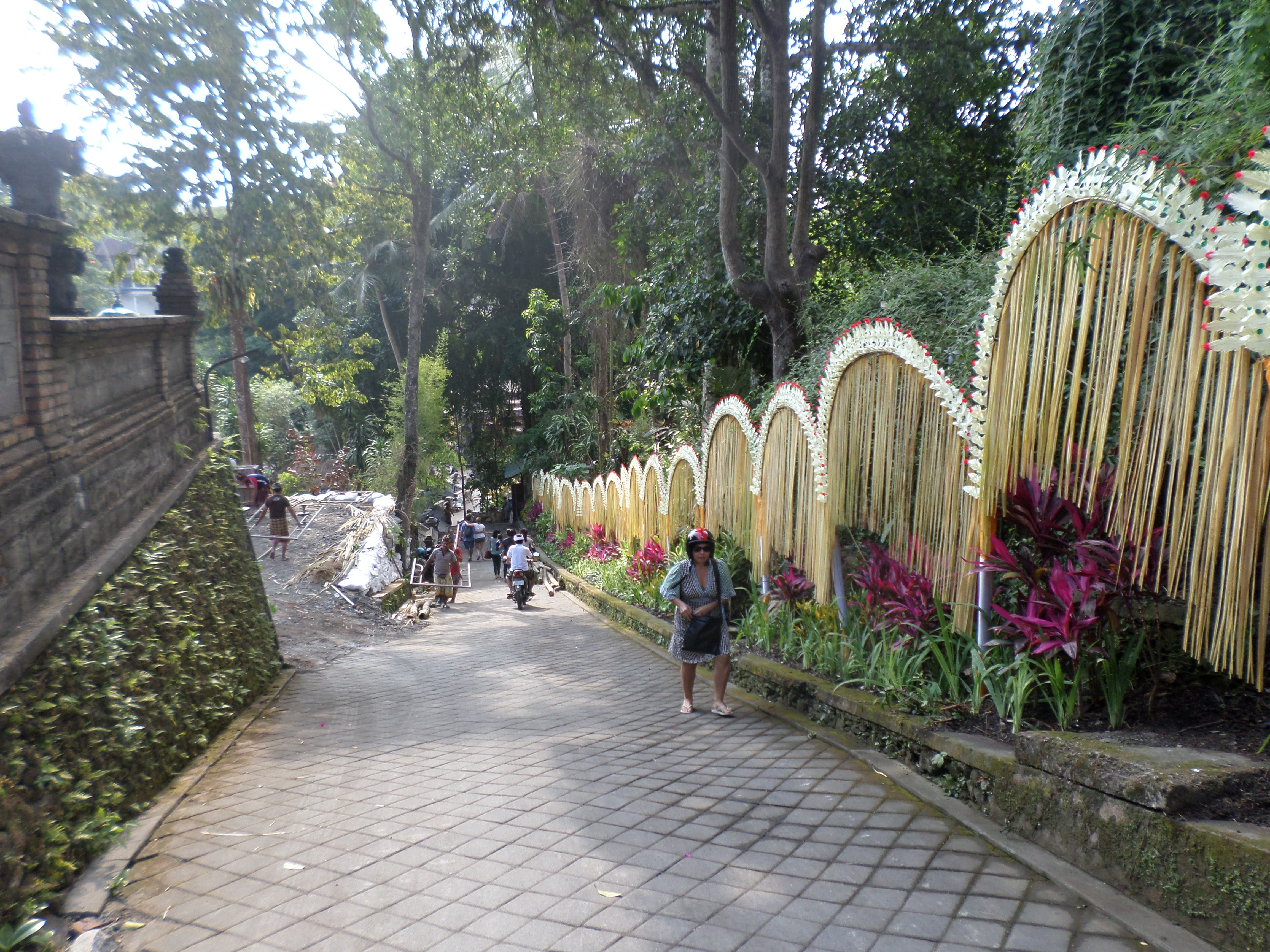 SAMSUNG CAMERA PICTURES