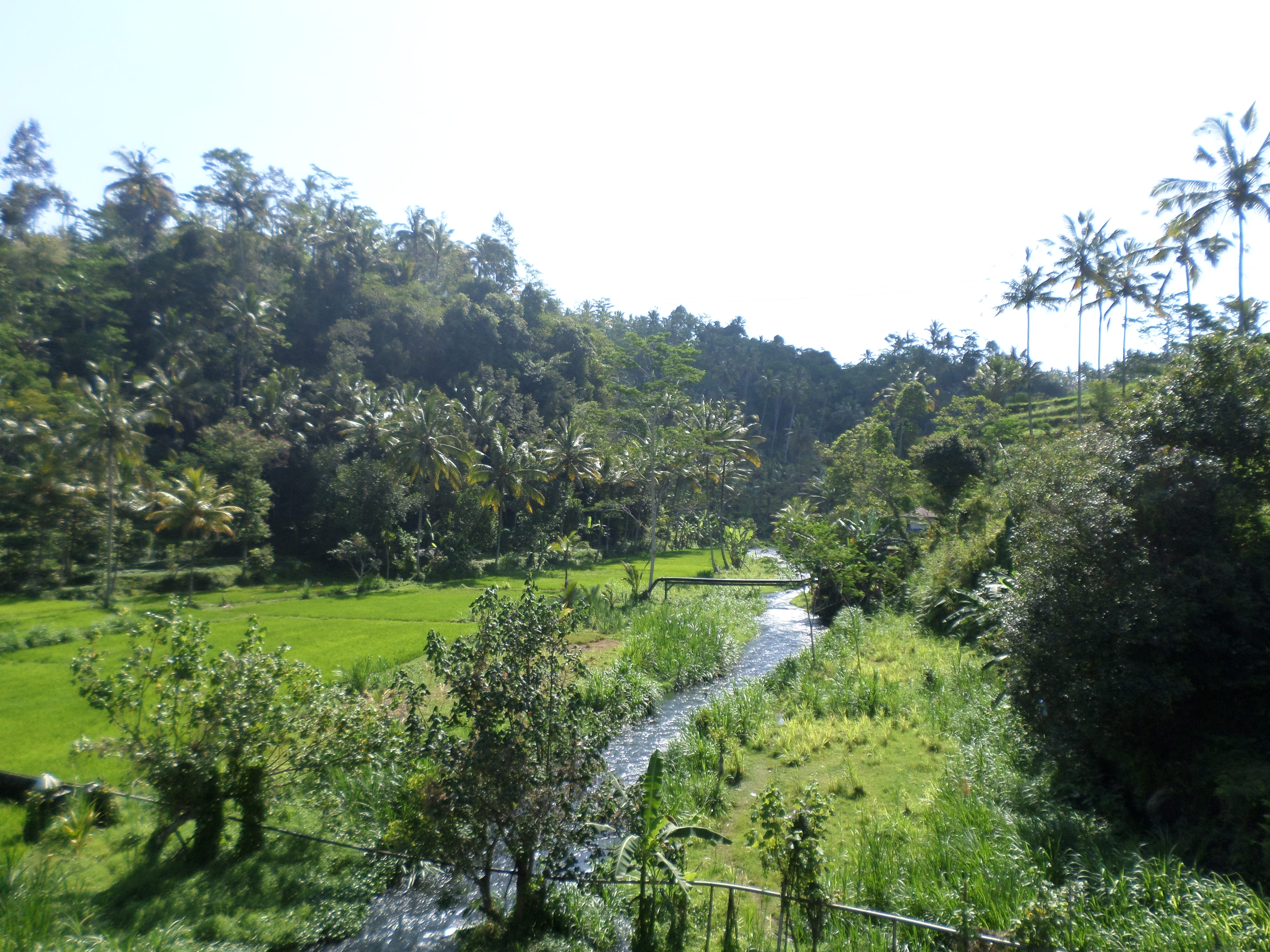 SAMSUNG CAMERA PICTURES