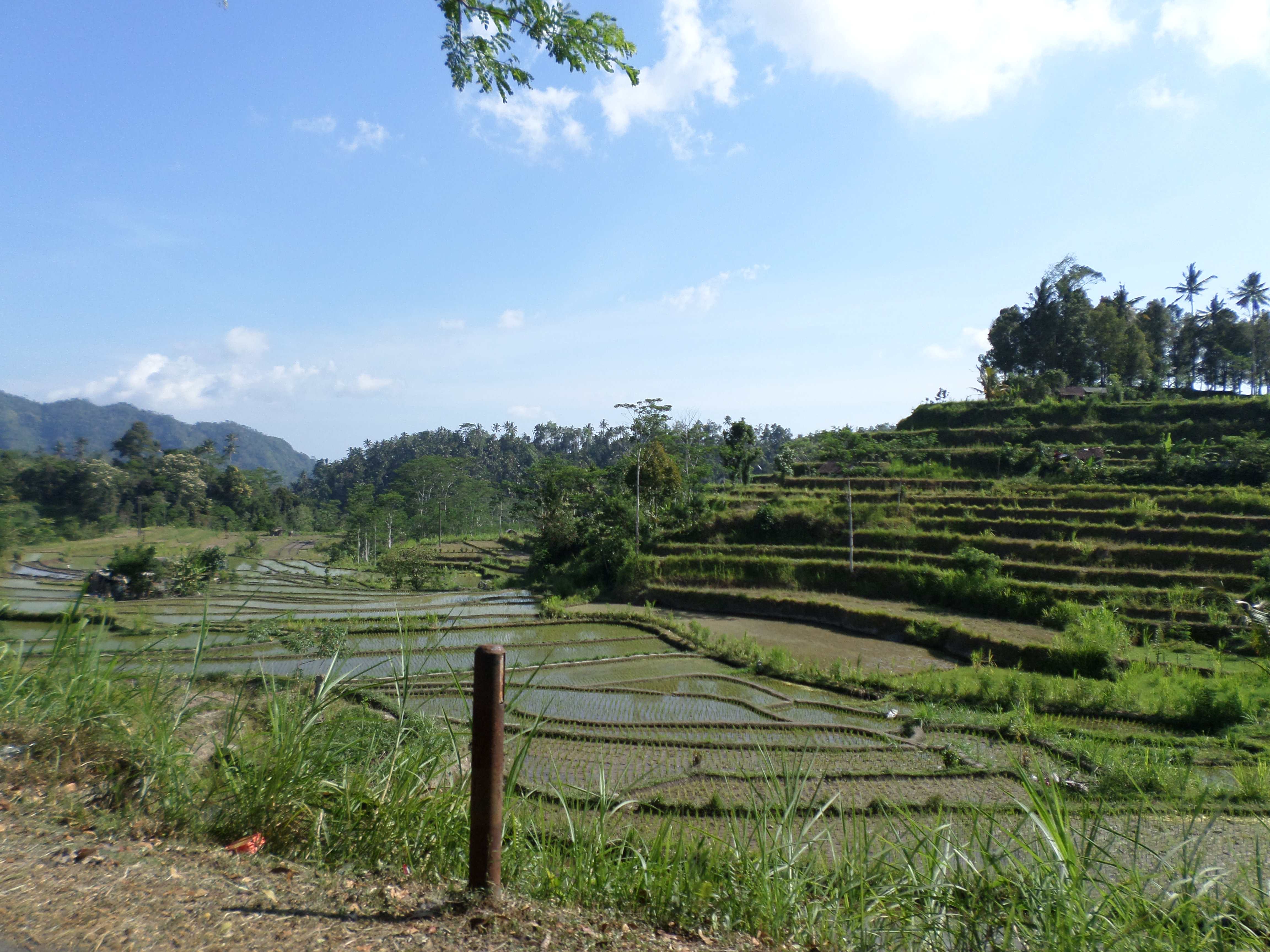 SAMSUNG CAMERA PICTURES