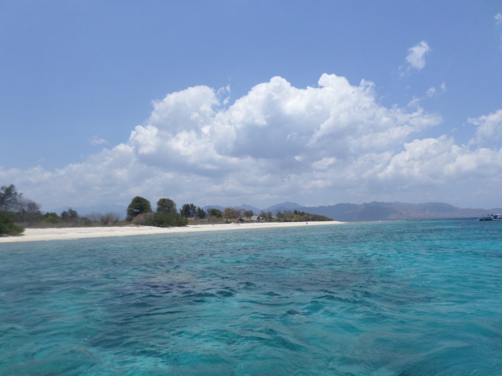 Turtles in Gili&nbsp;Trawangan