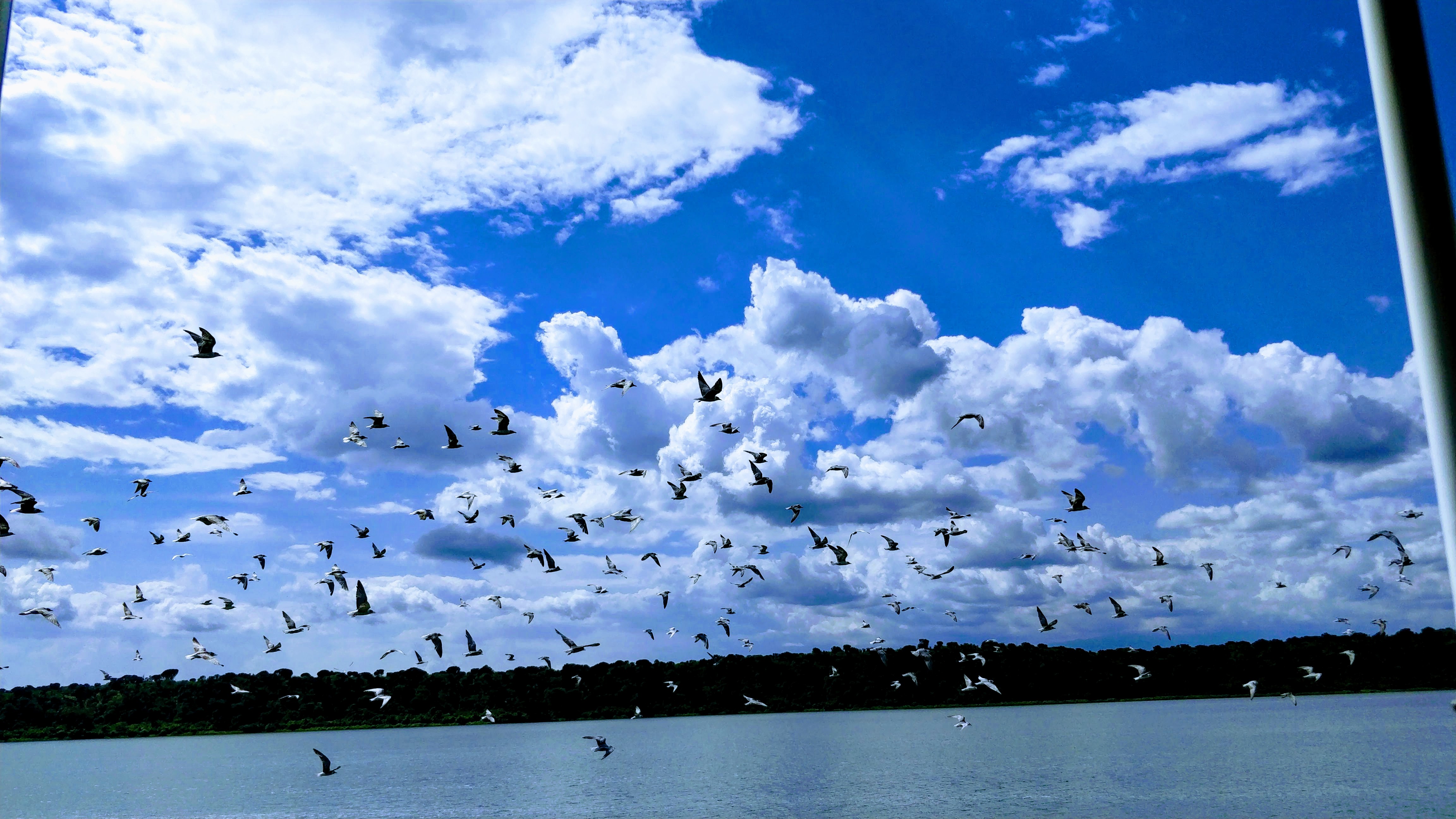 IMG_20180912_152534-EFFECTS