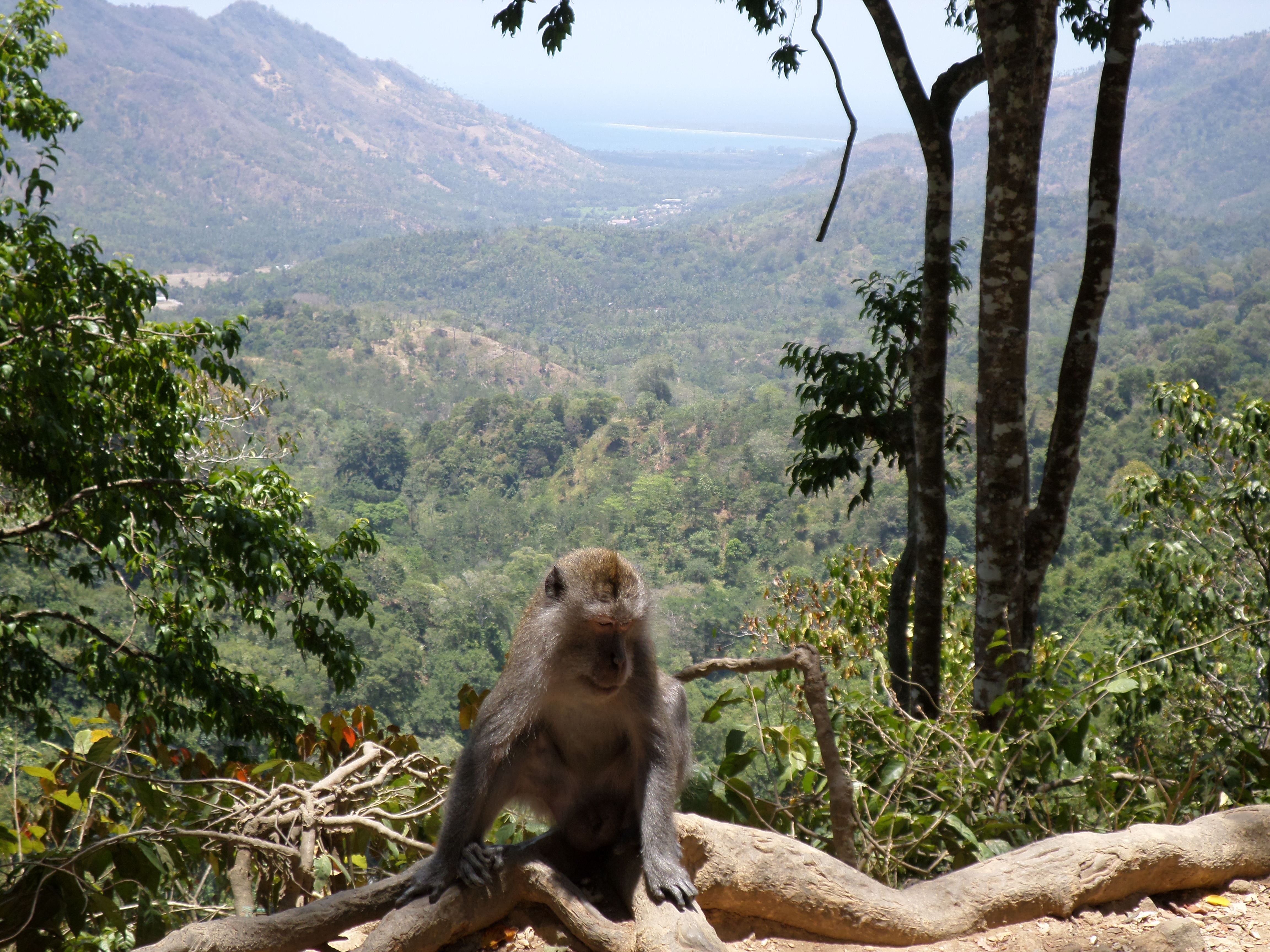 SAMSUNG CAMERA PICTURES