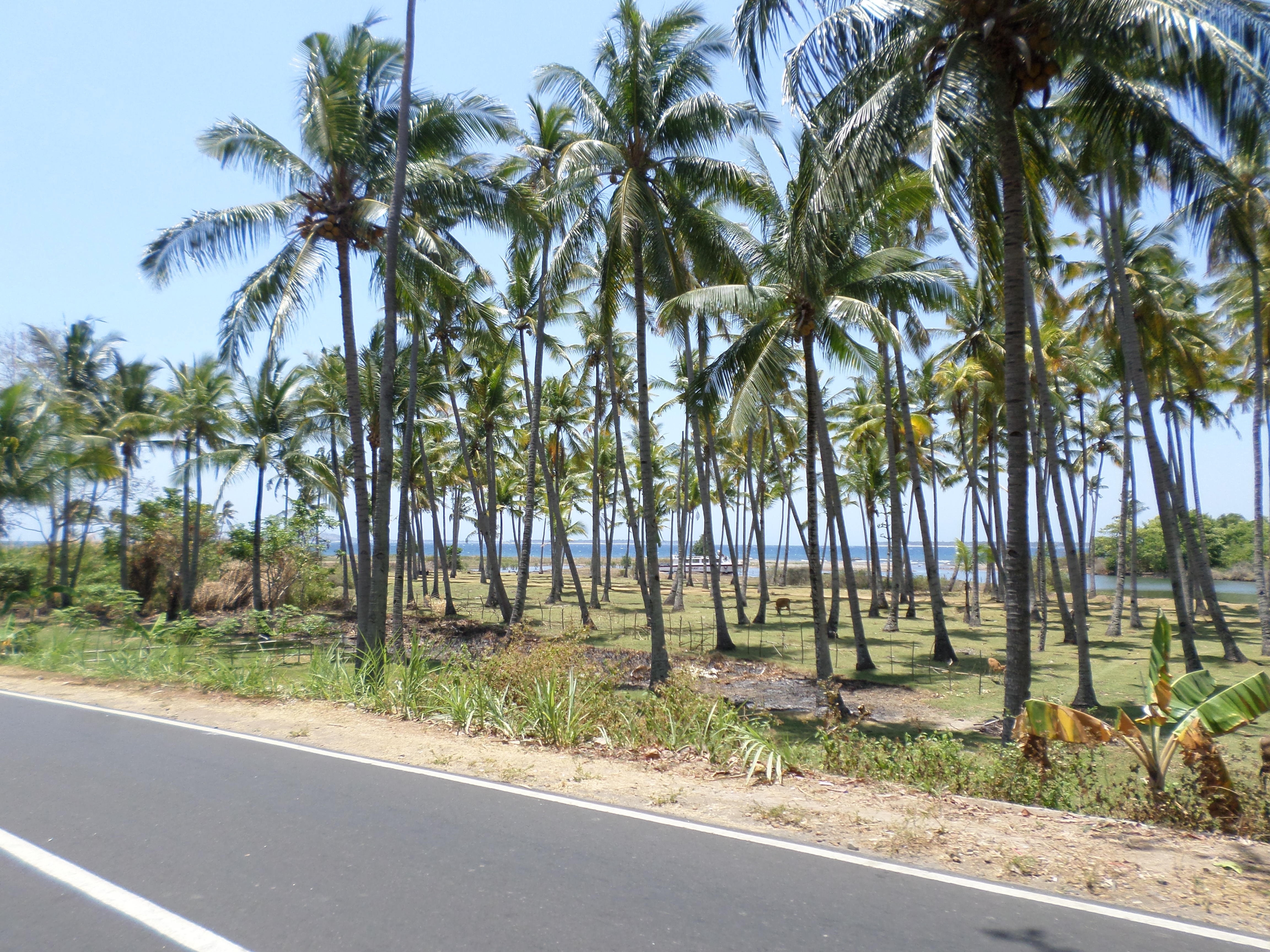 SAMSUNG CAMERA PICTURES