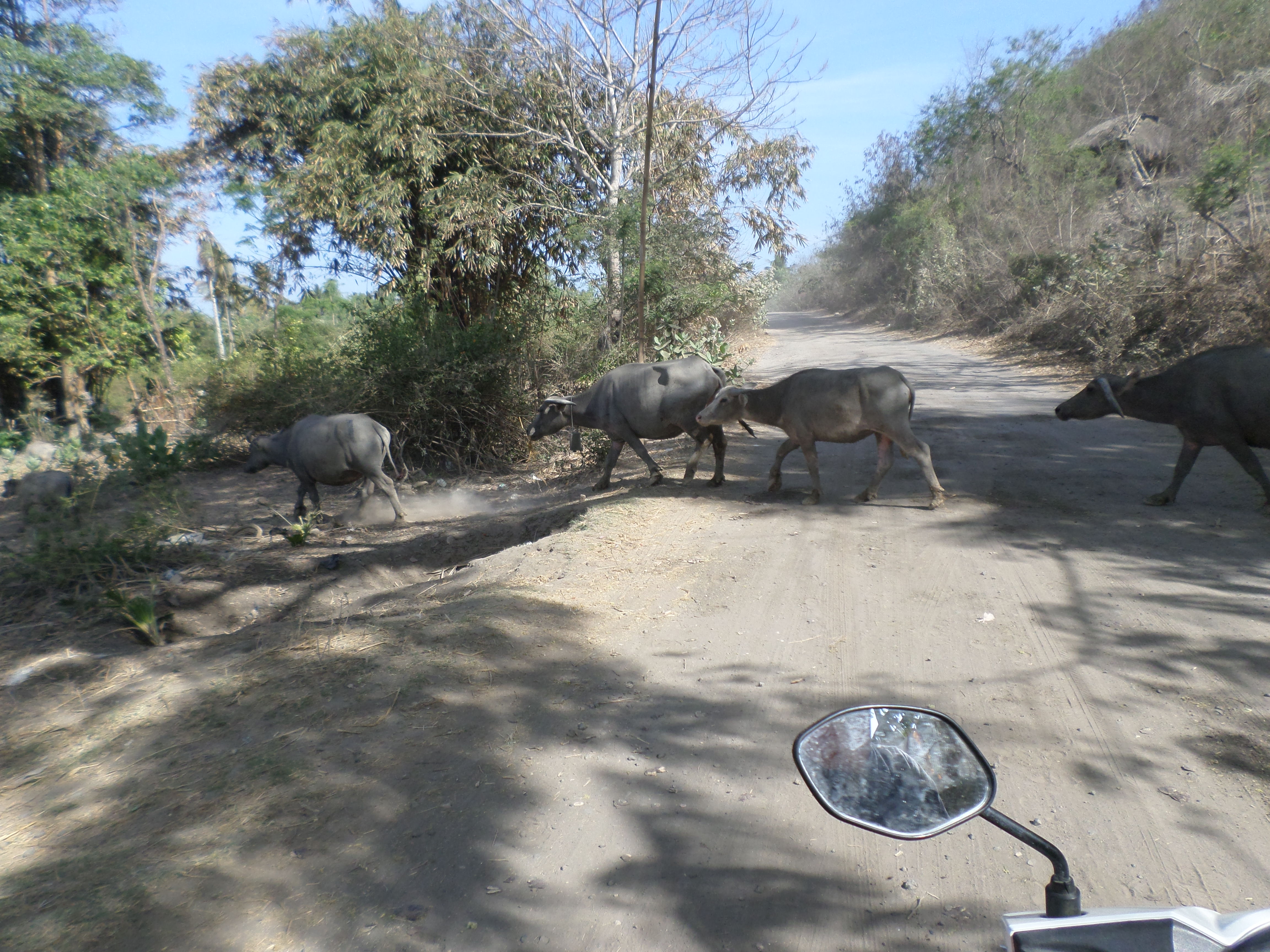 SAMSUNG CAMERA PICTURES