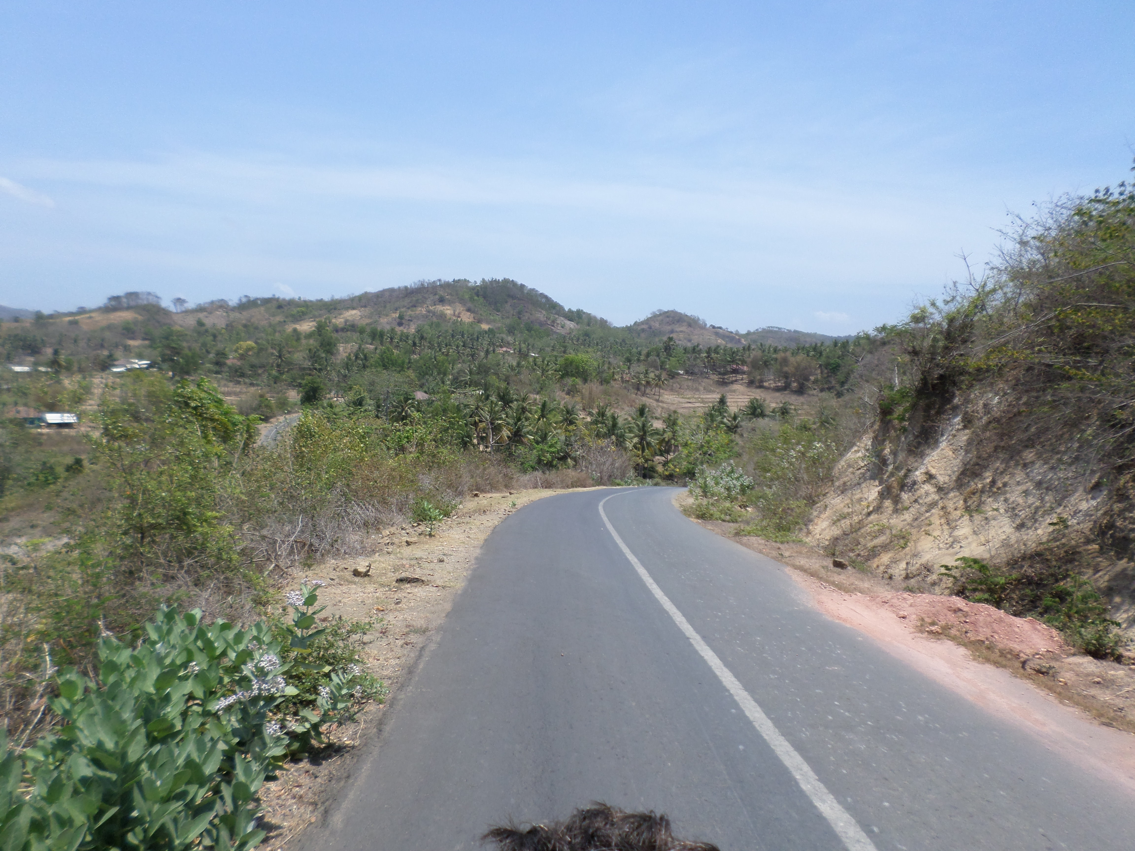 SAMSUNG CAMERA PICTURES