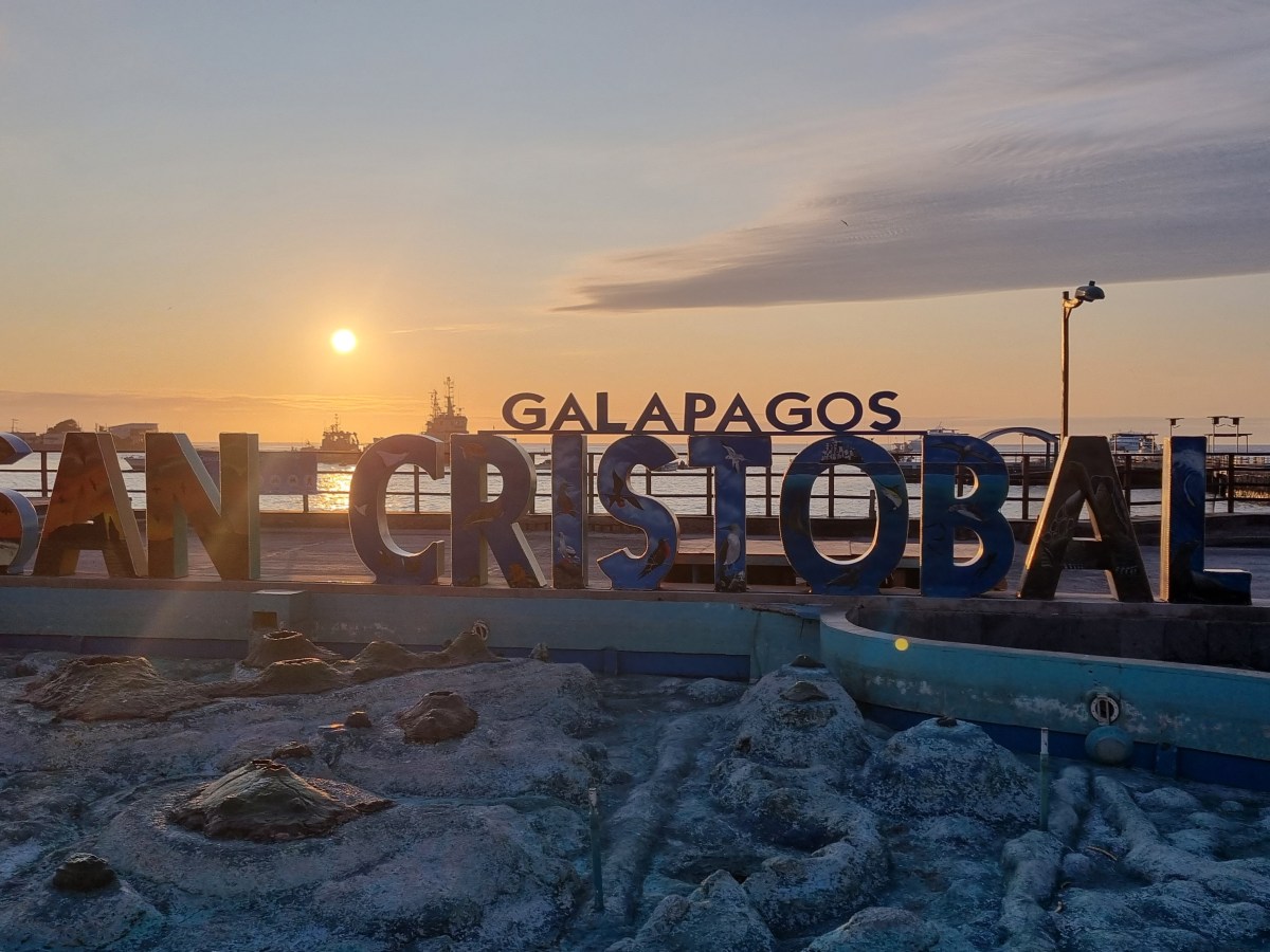 In search of Hammerheads on San Cristobal&nbsp;(Galapagos)