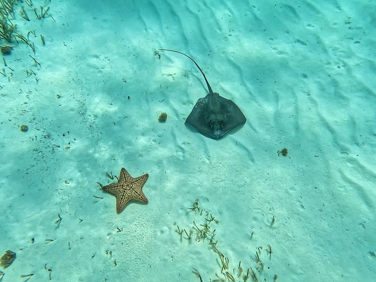 First stop, Mexico: Cozumel&nbsp;island