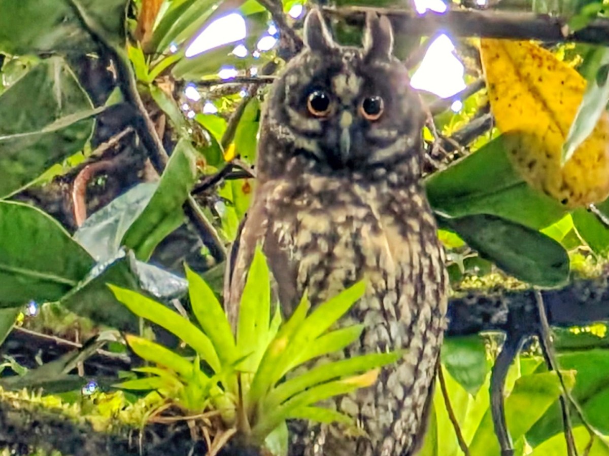 Granada: Hot Streets and Cold&nbsp;Peaks!