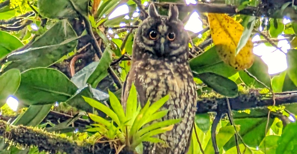 Granada: Hot Streets and Cold&nbsp;Peaks!