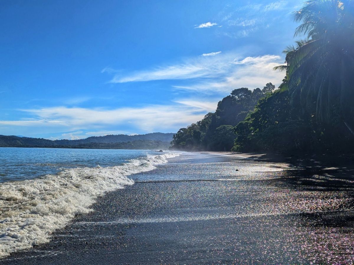 Corcovado: Costa Rica’s last wild&nbsp;frontier?