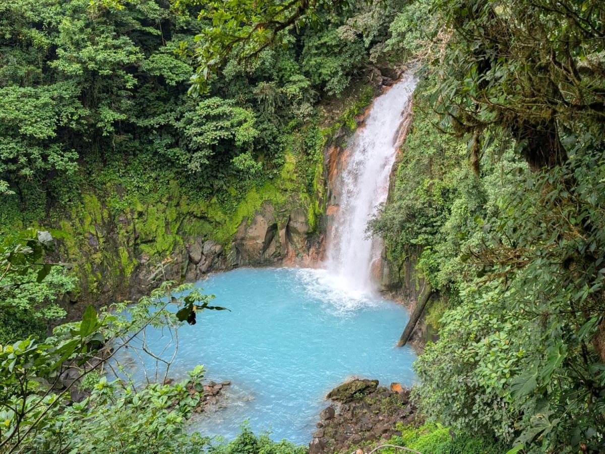 Sloths and Snakes in Rio&nbsp;Celeste